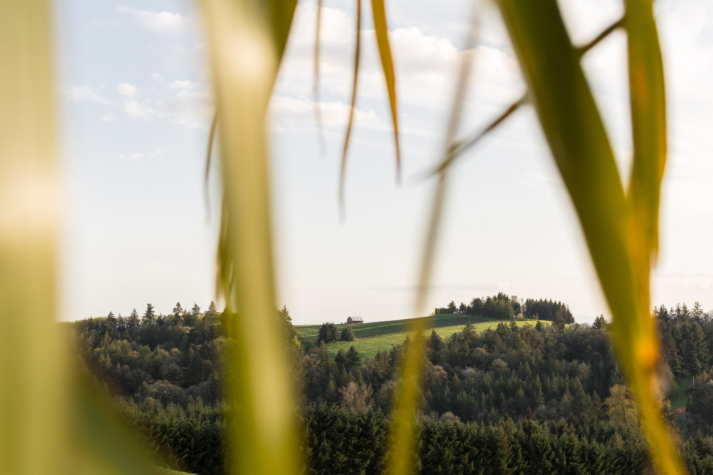Coria-Estates-Tasting-Room-Willamette-Valley-Oregon-180421