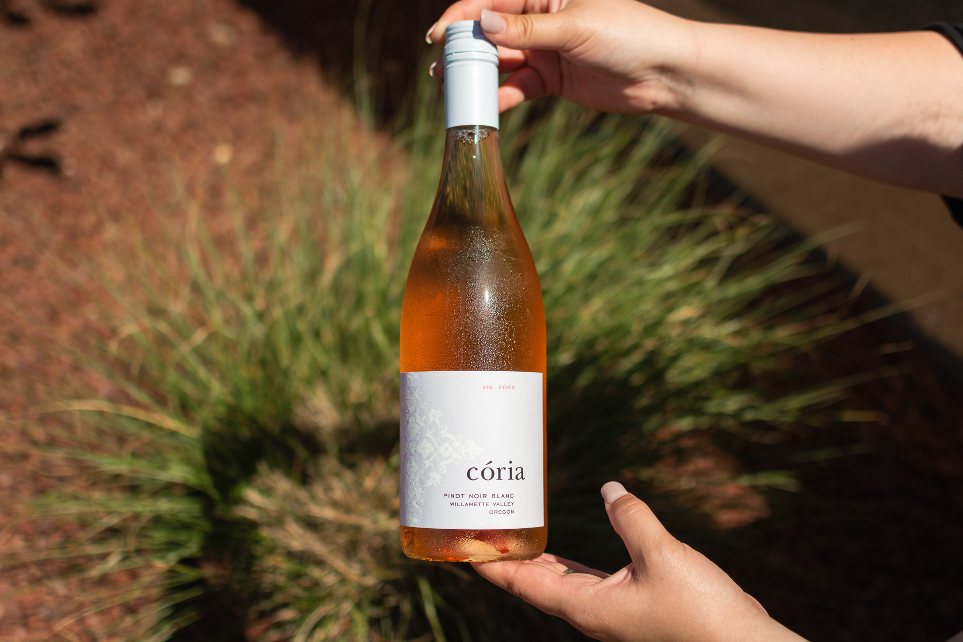 coria-estates-oregon-pinot-noir-blanc-8516