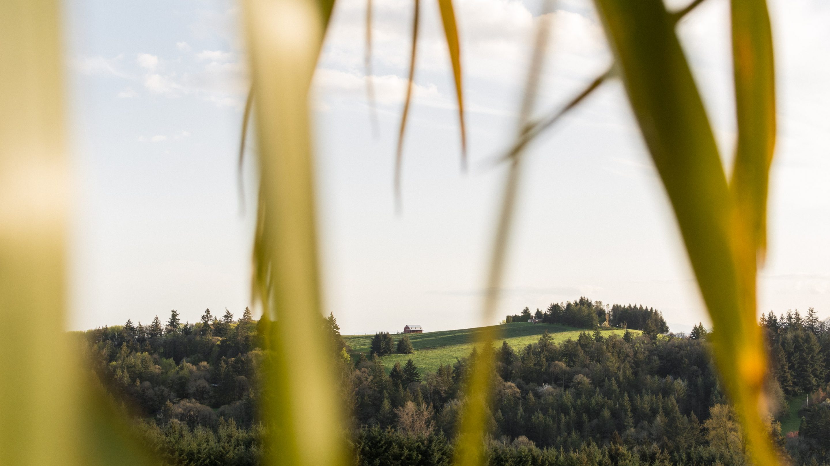 Coria-Estates-Tasting-Room-Willamette-Valley-Oregon-180421