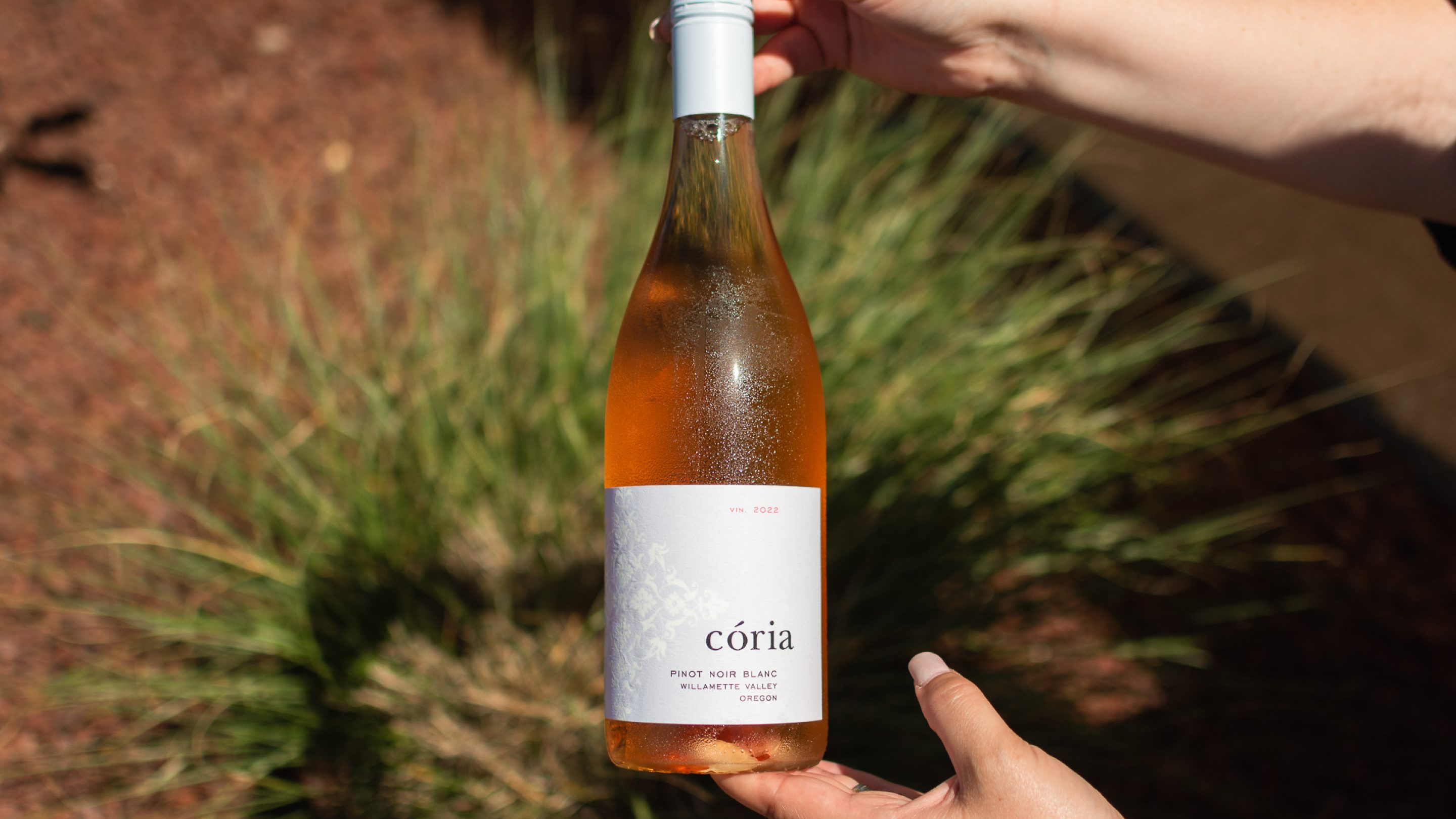 coria-estates-oregon-pinot-noir-blanc-8516